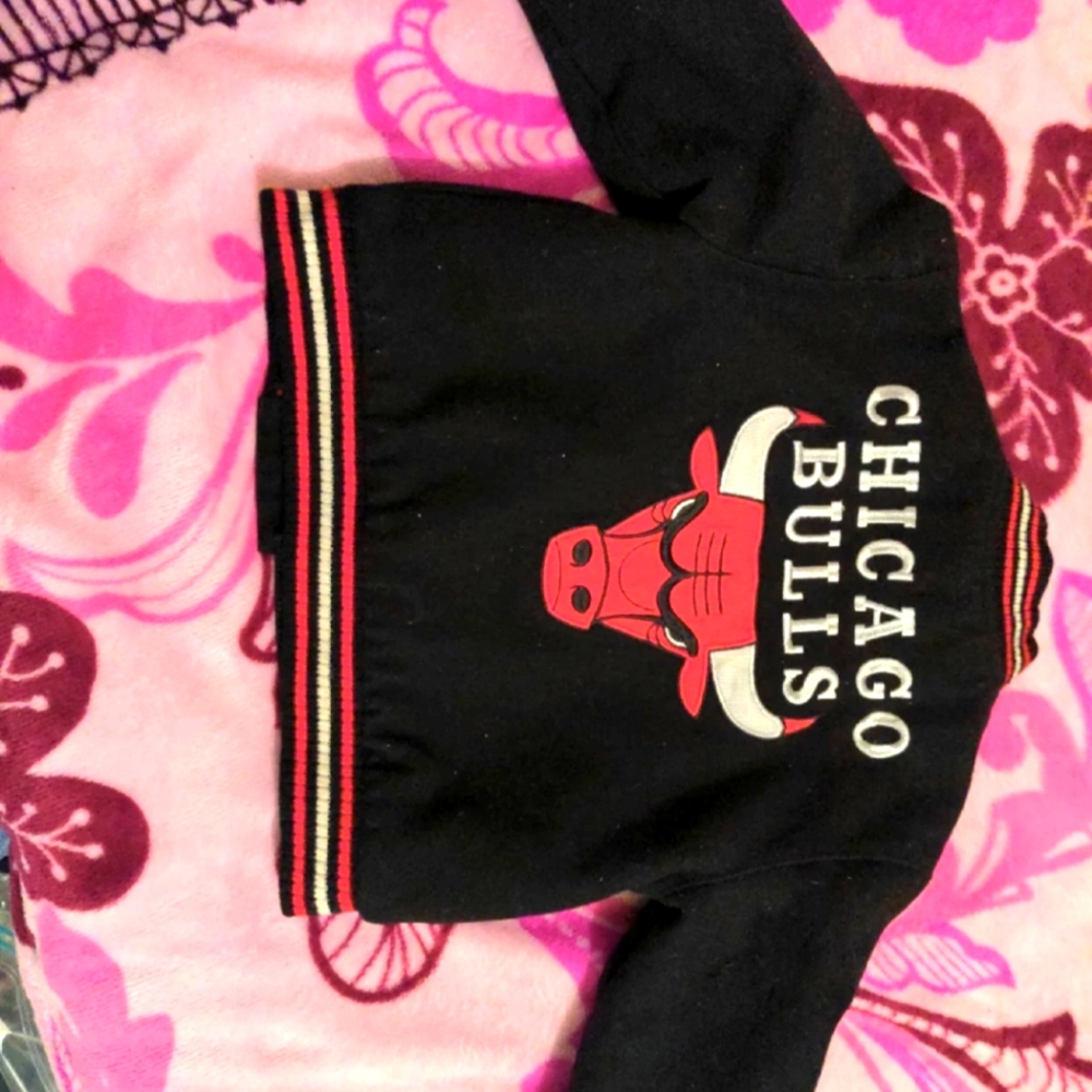 Chicago bulls